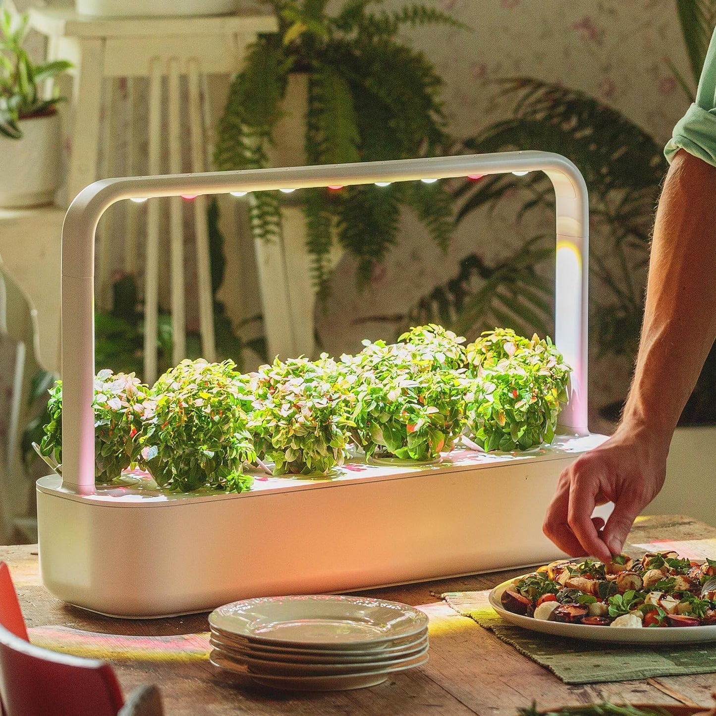 🌱 Indoor Herb Garden Kit | Smart Soil | Automatic Grow Light | 9 Plant Pods