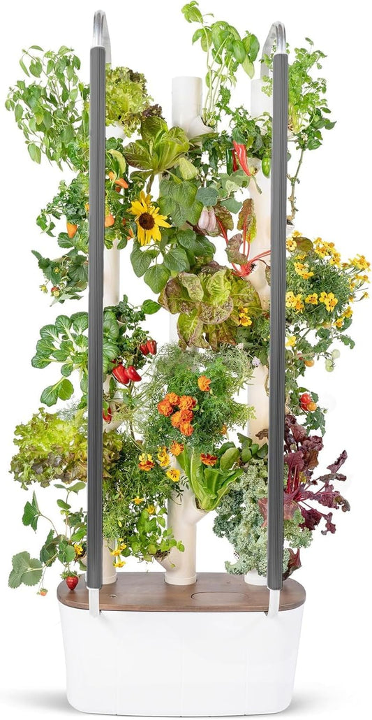🌿 Vertical Hydroponic Garden | 30 Plants | 2 sq. ft. | AI Assistant | LED Grow Lights
