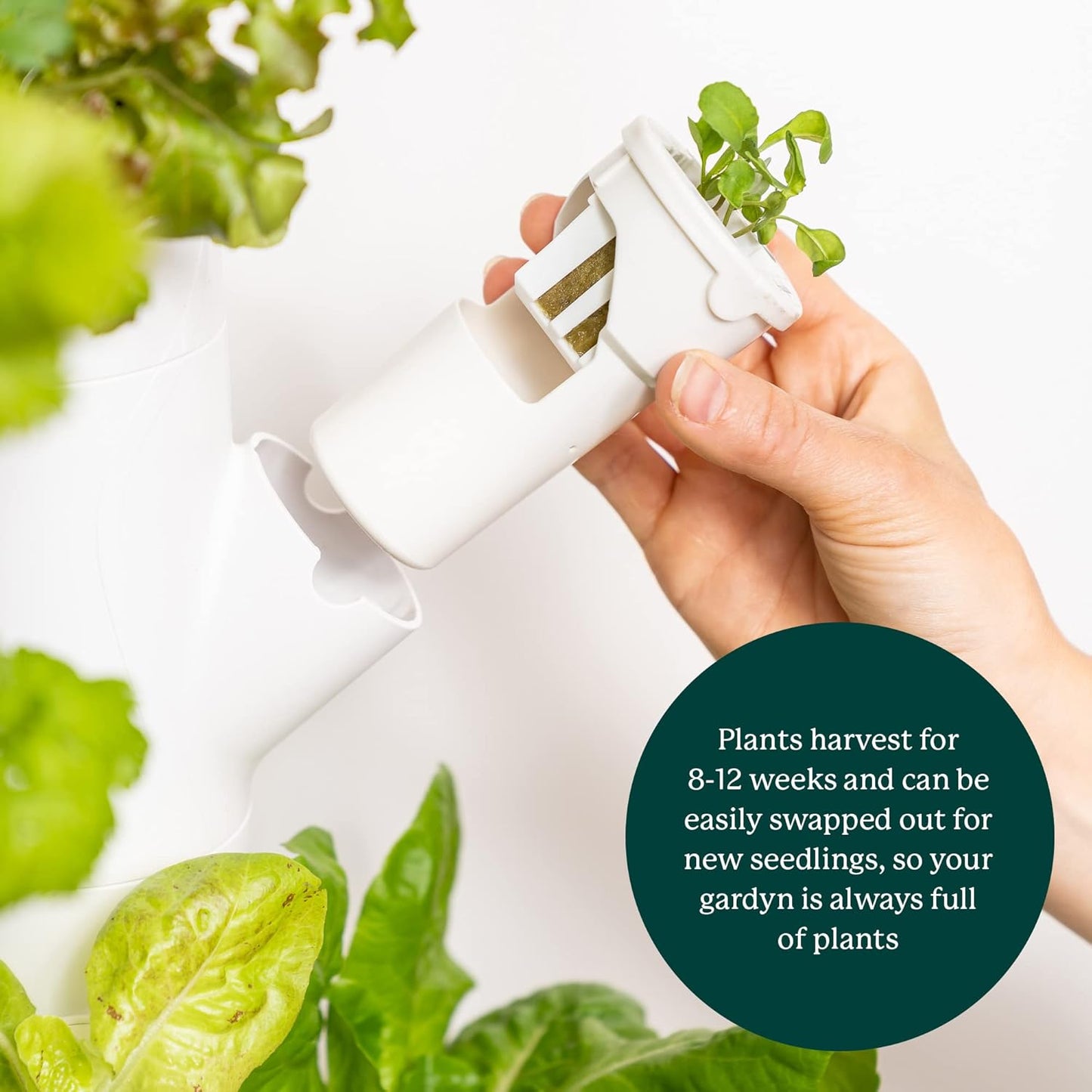 🌿 Vertical Hydroponic Garden | 30 Plants | 2 sq. ft. | AI Assistant | LED Grow Lights