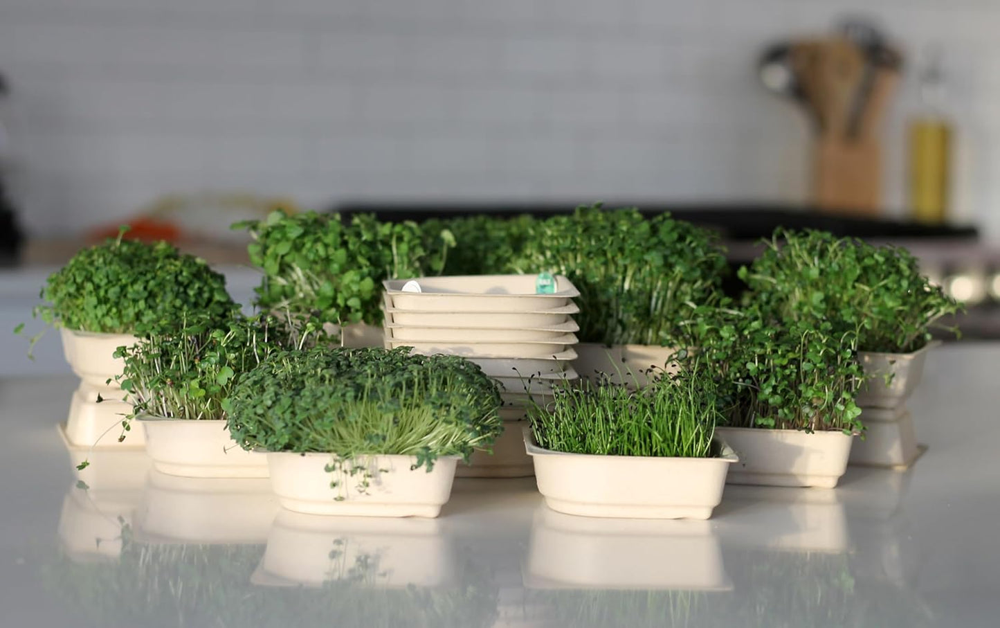 🌱 Fully Automated Indoor Garden – LED Growing Unit