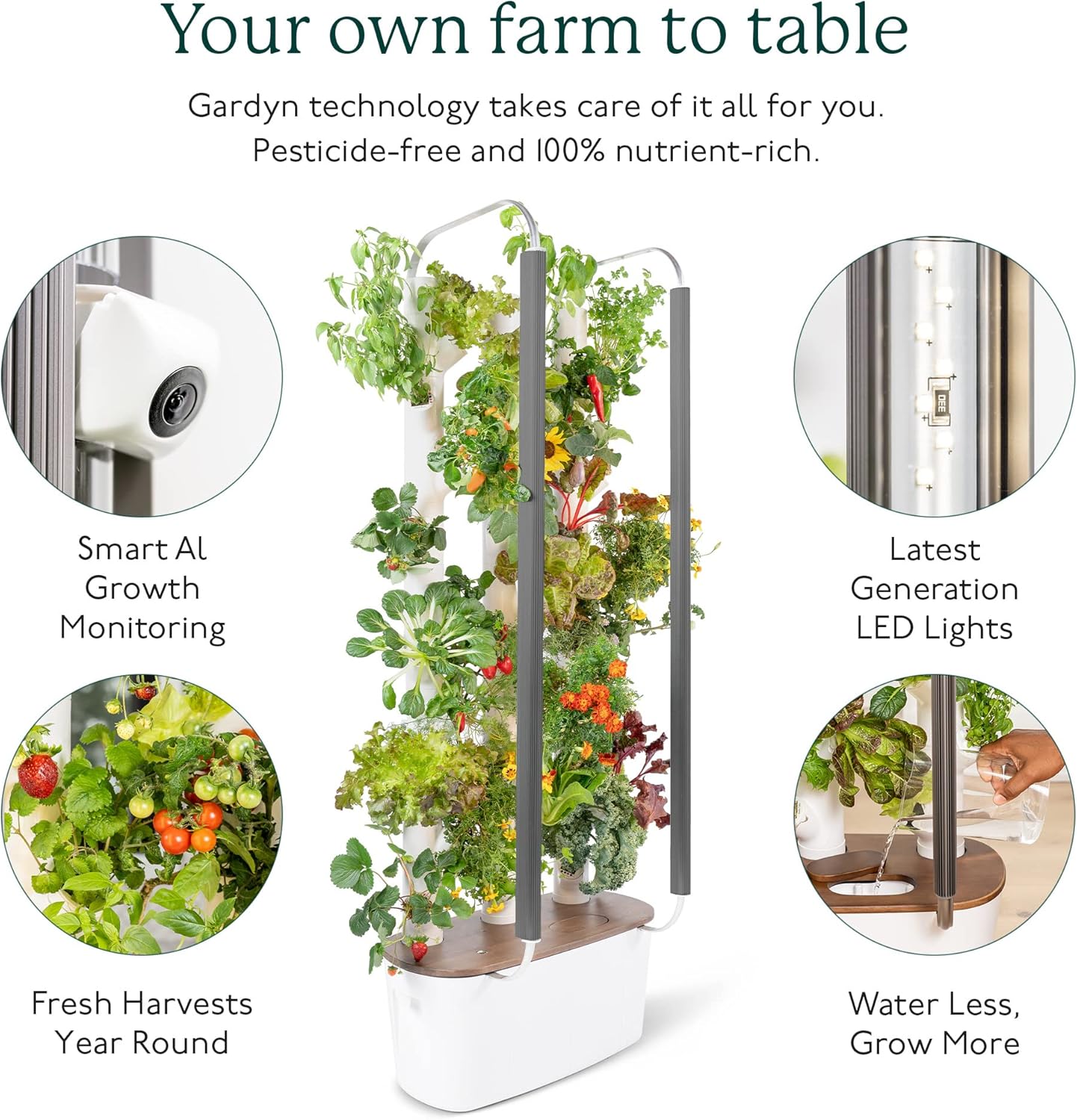🌿 Vertical Hydroponic Garden | 30 Plants | 2 sq. ft. | AI Assistant | LED Grow Lights