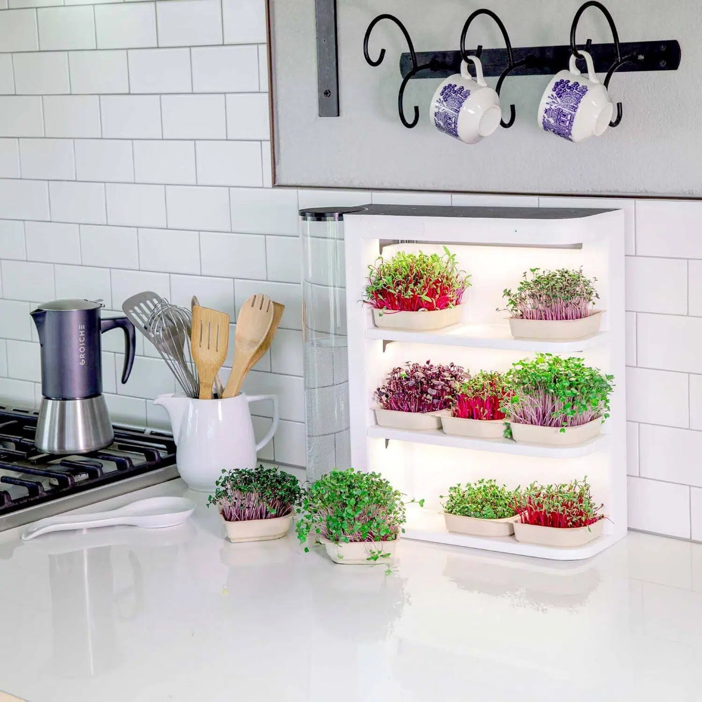 🌱 Fully Automated Indoor Garden – LED Growing Unit