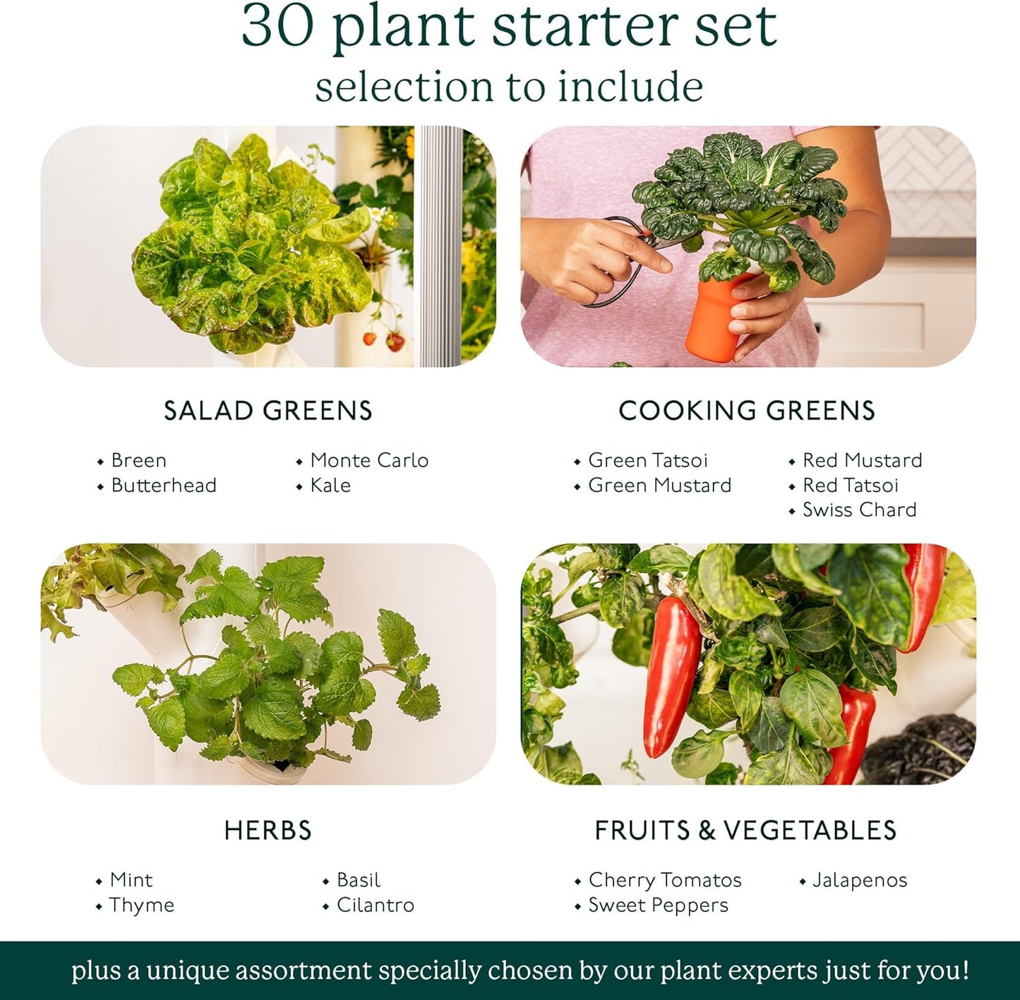 🌿 Vertical Hydroponic Garden | 30 Plants | 2 sq. ft. | AI Assistant | LED Grow Lights